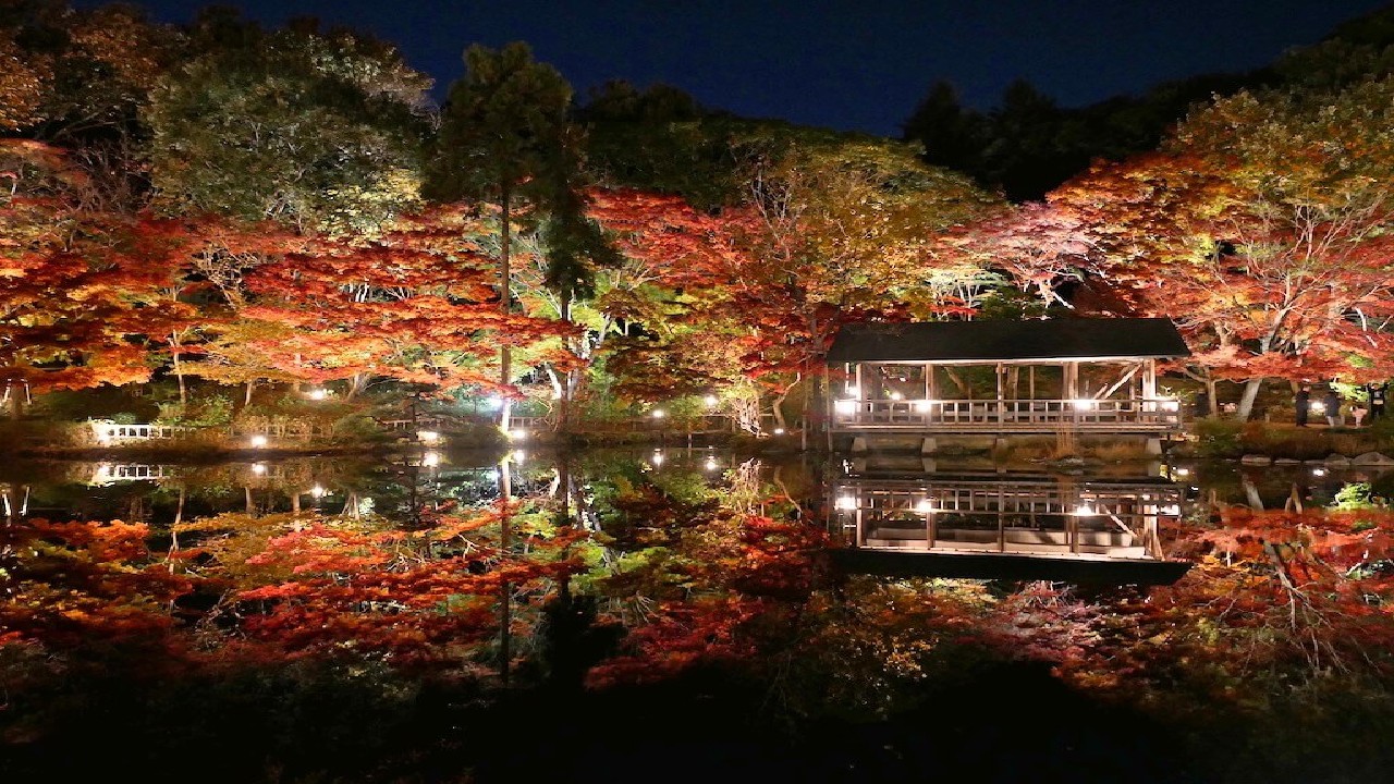 Nagoya Autumn Food Festival