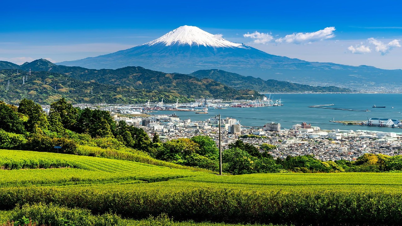 Shizuoka