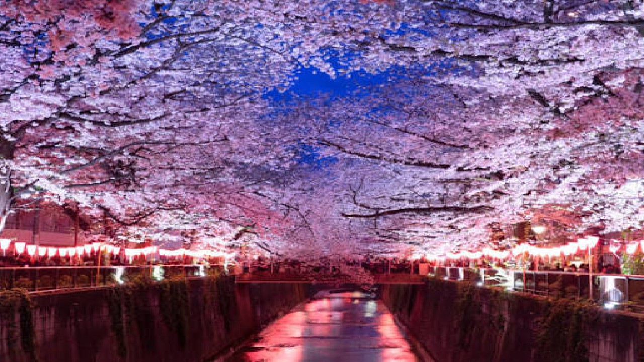 Nakameguro